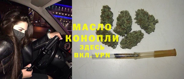 ПСИЛОЦИБИНОВЫЕ ГРИБЫ Вяземский