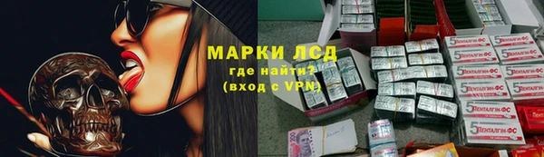 ПСИЛОЦИБИНОВЫЕ ГРИБЫ Вяземский