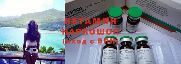 ПСИЛОЦИБИНОВЫЕ ГРИБЫ Вяземский