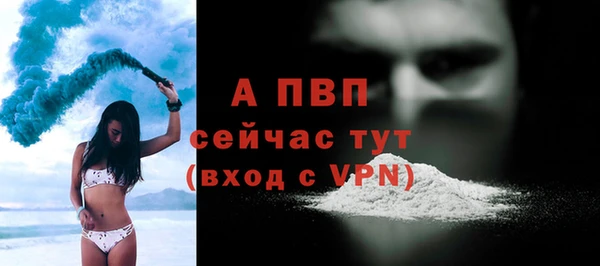 спиды Волосово