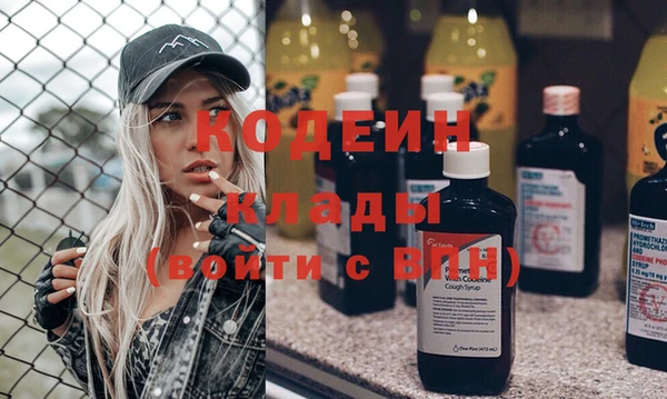 ПСИЛОЦИБИНОВЫЕ ГРИБЫ Вяземский