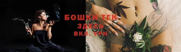 ПСИЛОЦИБИНОВЫЕ ГРИБЫ Вяземский