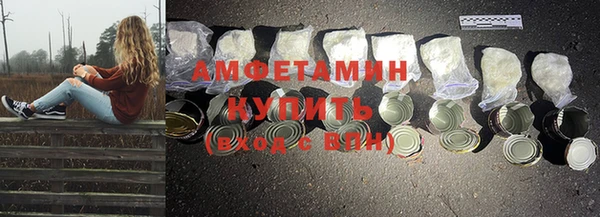 ПСИЛОЦИБИНОВЫЕ ГРИБЫ Вяземский