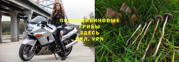 ПСИЛОЦИБИНОВЫЕ ГРИБЫ Вяземский