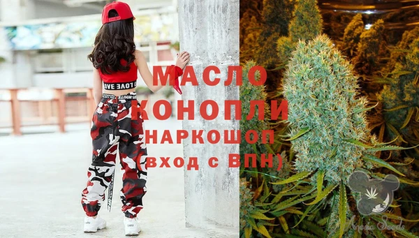 индика Волоколамск