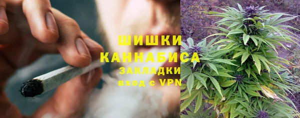 индика Волоколамск