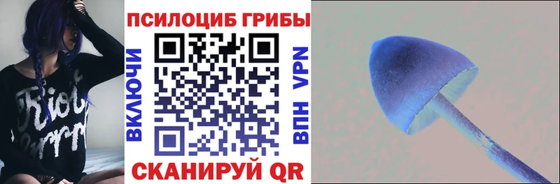 купить наркотики цена  Юрюзань  Псилоцибиновые грибы Magic Shrooms 